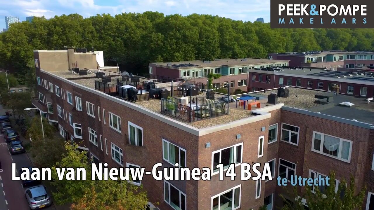 Video van Laan van Nieuw-Guinea 14-BSA
