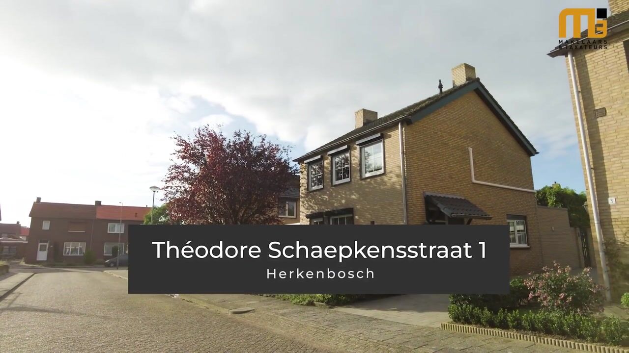 Video van Théodore Schaepkensstraat 1
