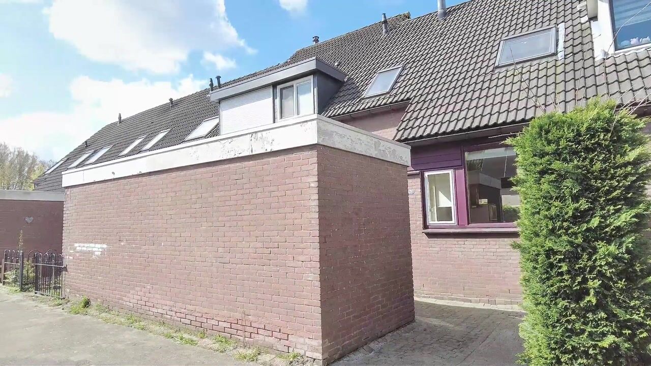Video van Karperveen 252