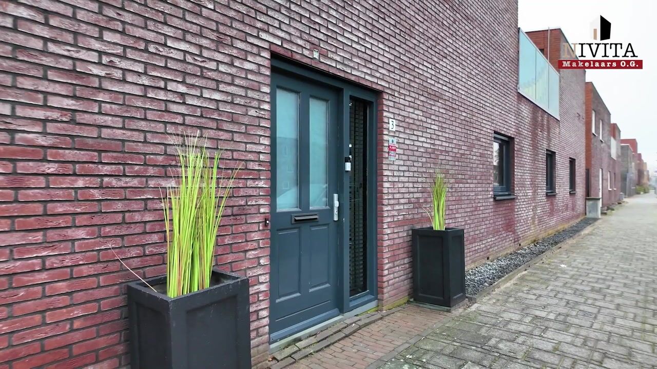 Video of Alikruiksingel 3