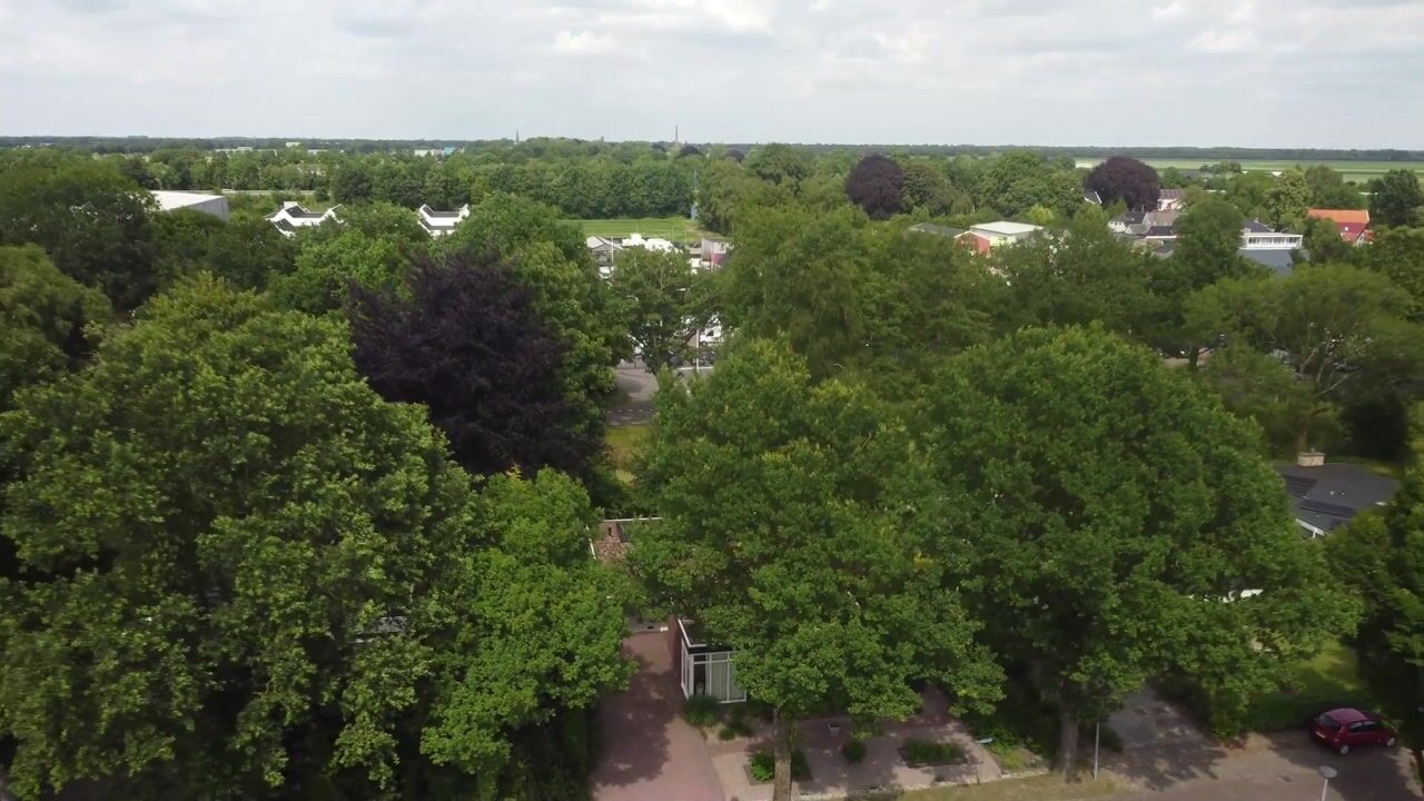 Video van Rembrandtlaan 5