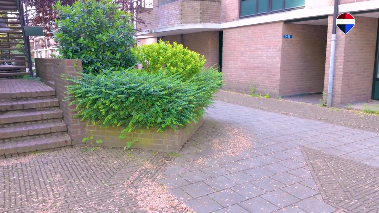 Video van Scheepmakerskade 21