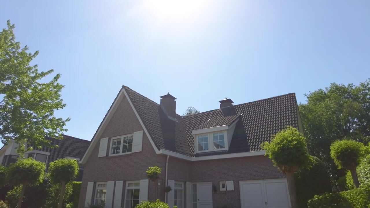 Video van Hagedisberg 31