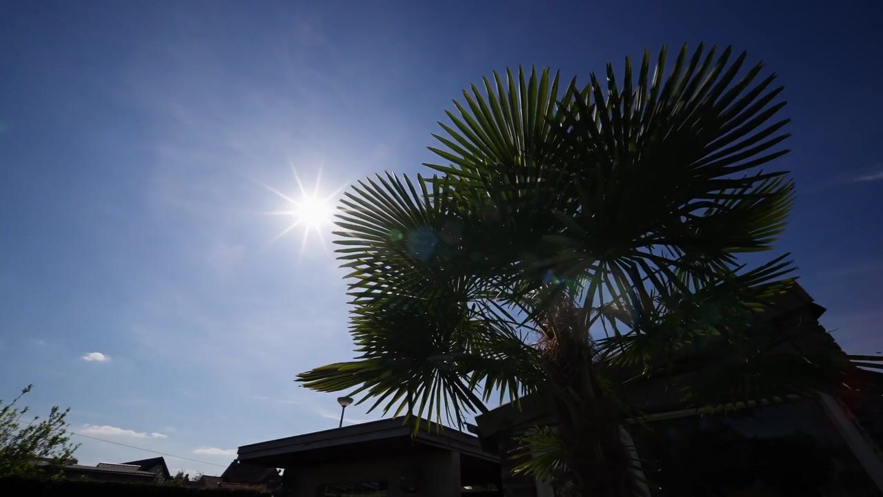 Video van Aan het Broek 87