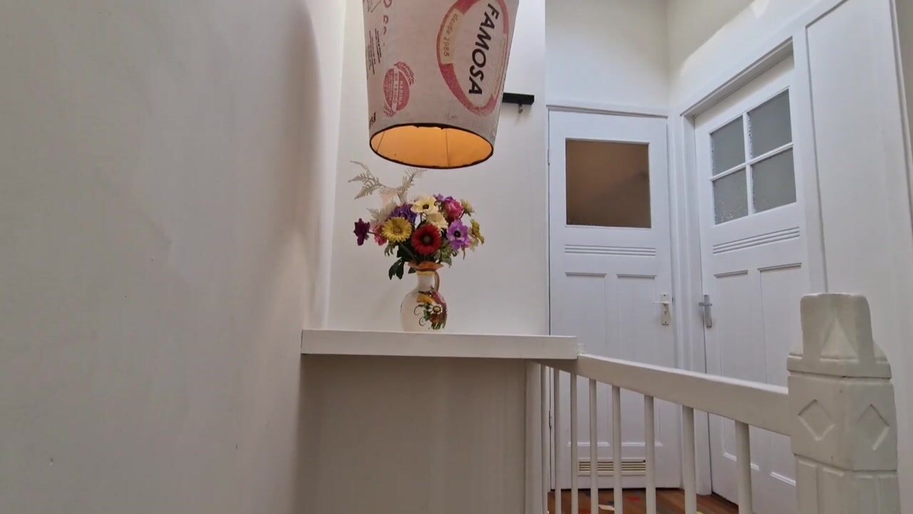 Video van Dibbetsstraat 113