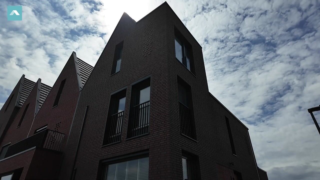 Video van Holsteiner 2