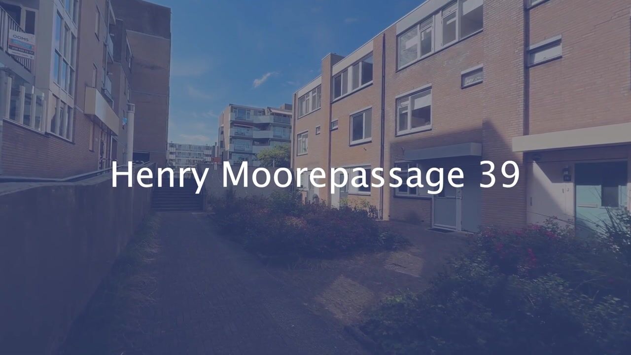 Video van Henry Moorepassage 39