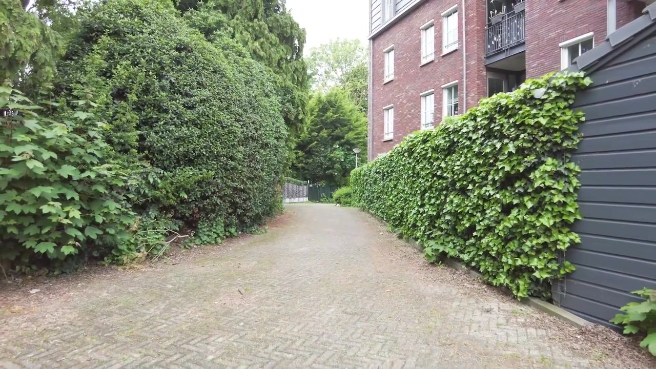 Video van Rijsdijk 59