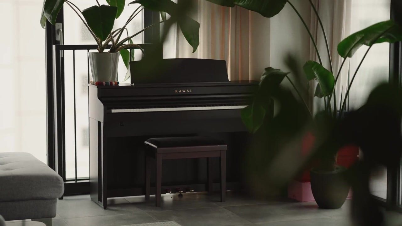 Video van Scheepmakerspassage 145