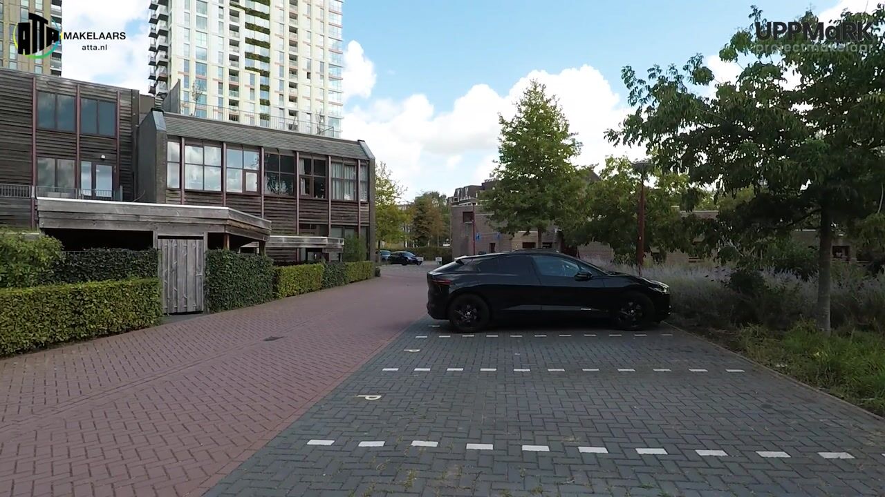 Video van Geelgors 1-24