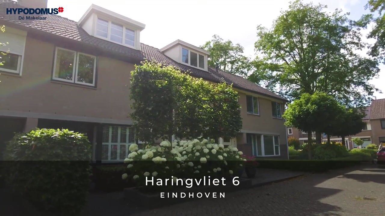 Video of Haringvliet 6