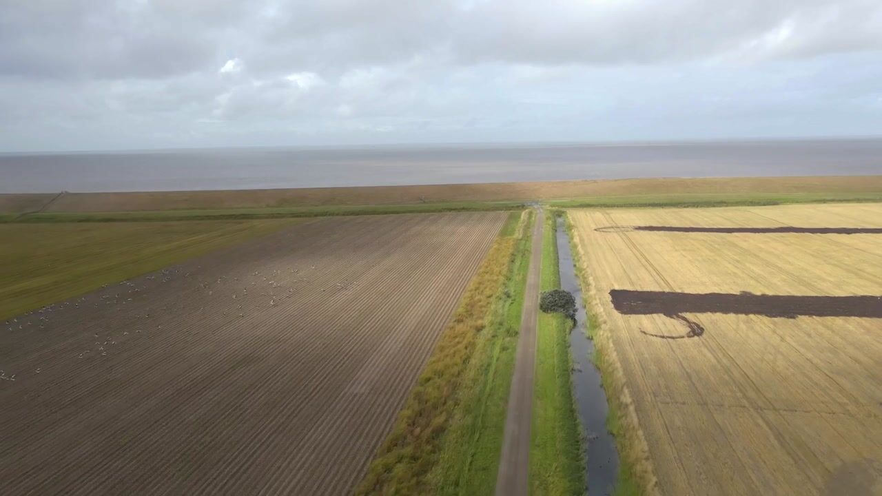 Video van Alef van Idsingawei 18