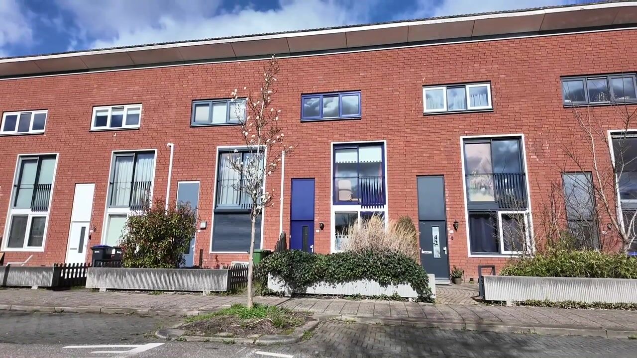 Video van Zwarte Specht 44