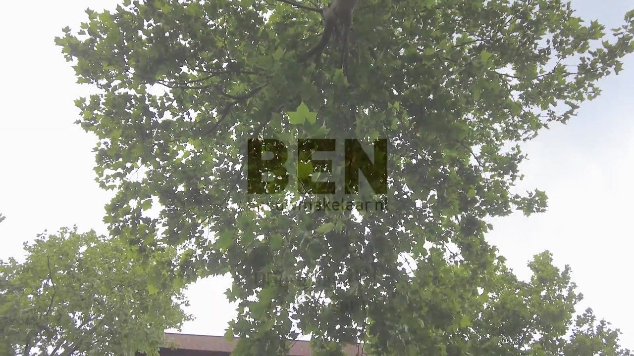 Video of IJburglaan 981