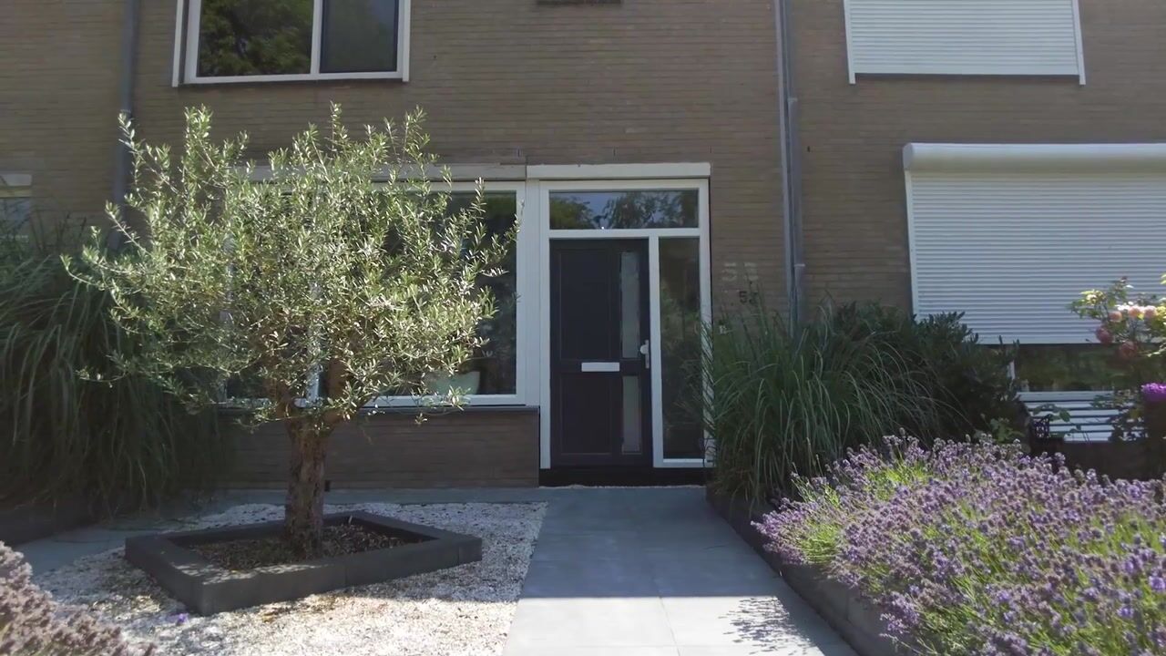 Video van Kabbelaarsbank 53