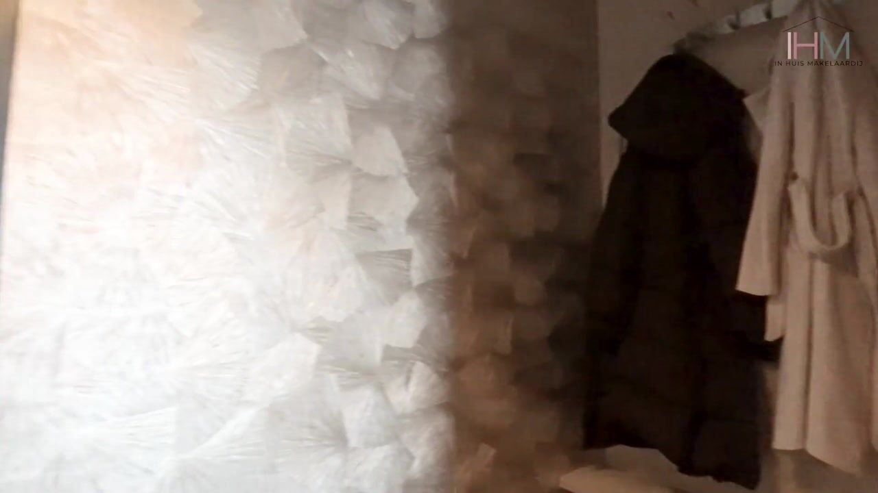 Video of Houtzaagmolensingel 75
