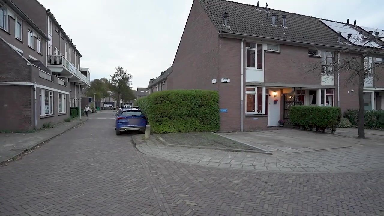 Video van King Olivereiland 76