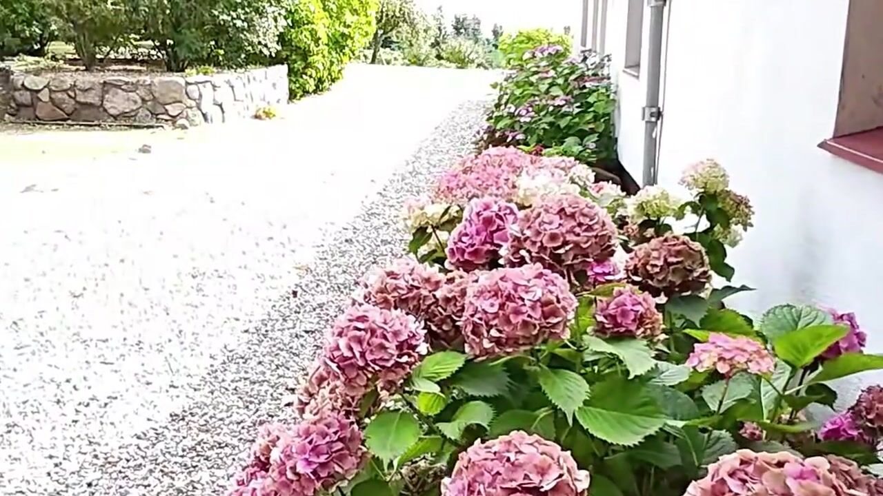 Video van Trehøje 14