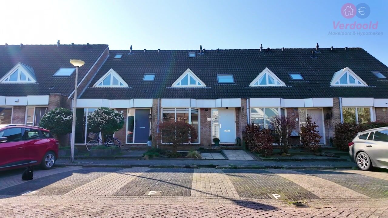 Video of Korenbloem 5