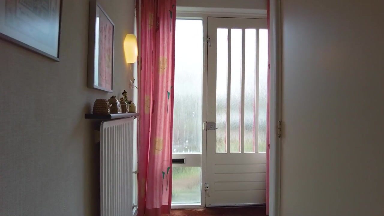 Video of De Wedde 60