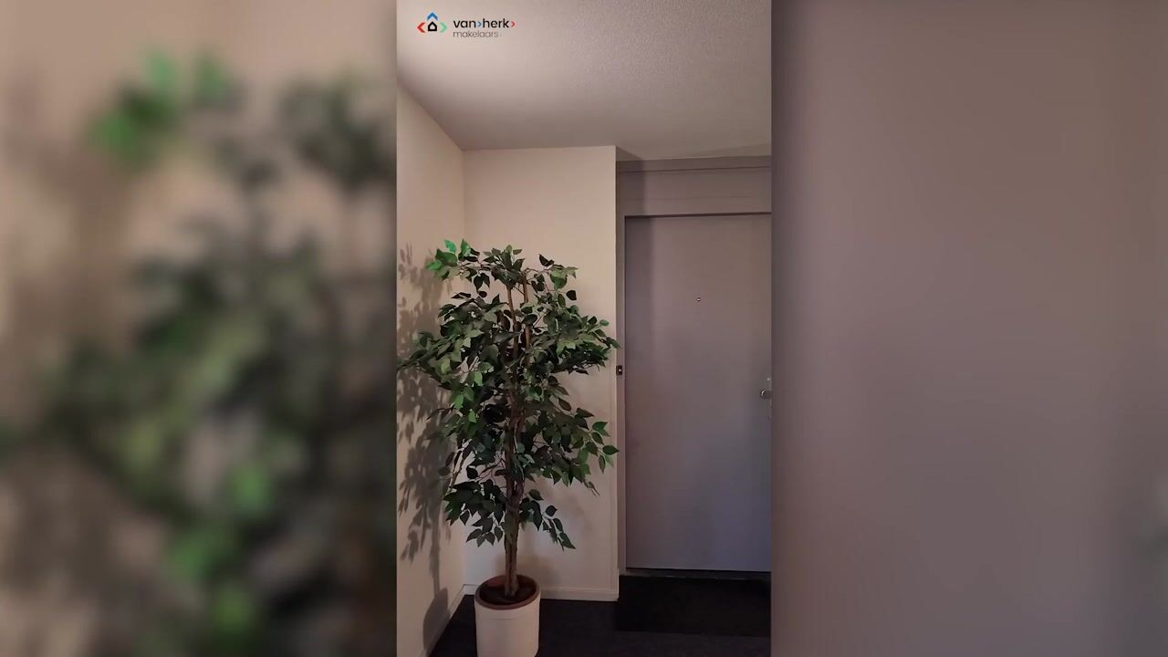 Video van Tsjaikovskistraat 78