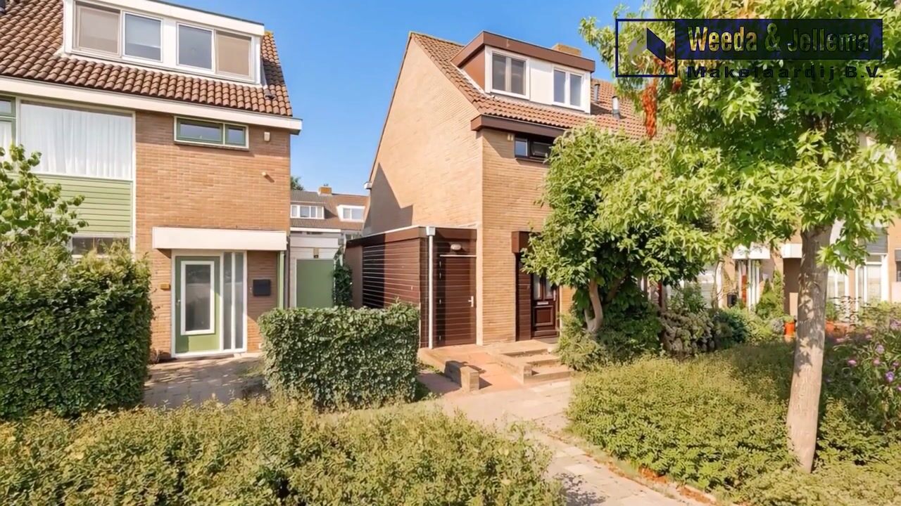 Video of Wilgeboom 51