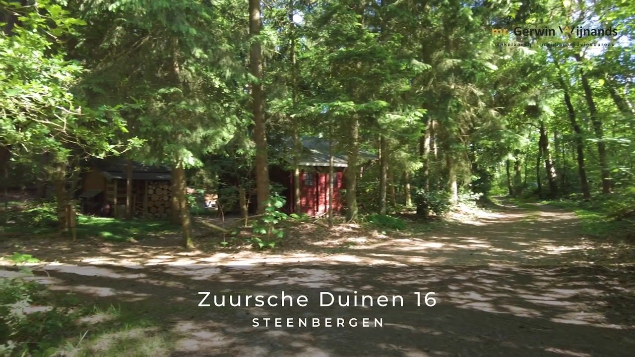 Video of Zuursche Duinen 16