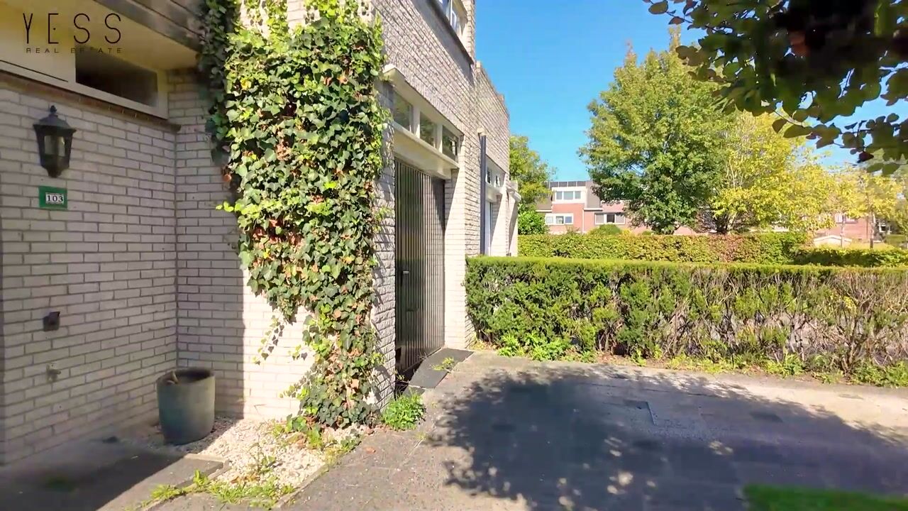 Video of Boeier 103