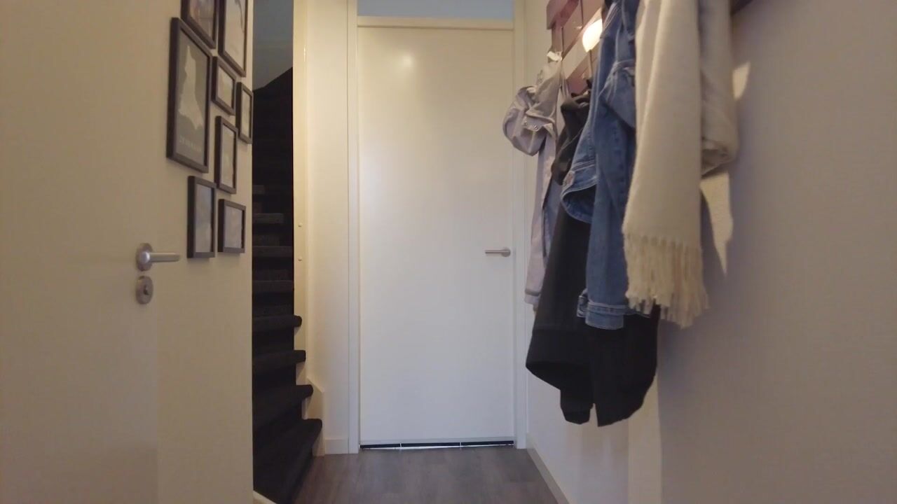Video of Turennesingel 160