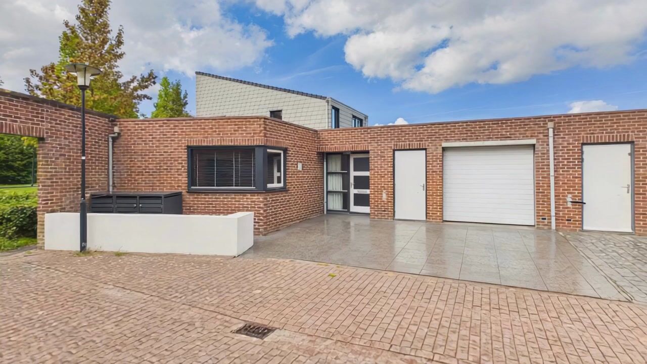 Video van Steenarend 5