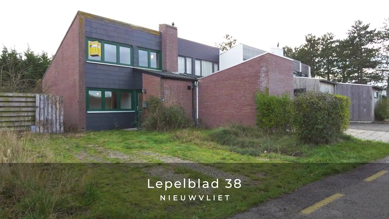 Video of Lepelblad 38
