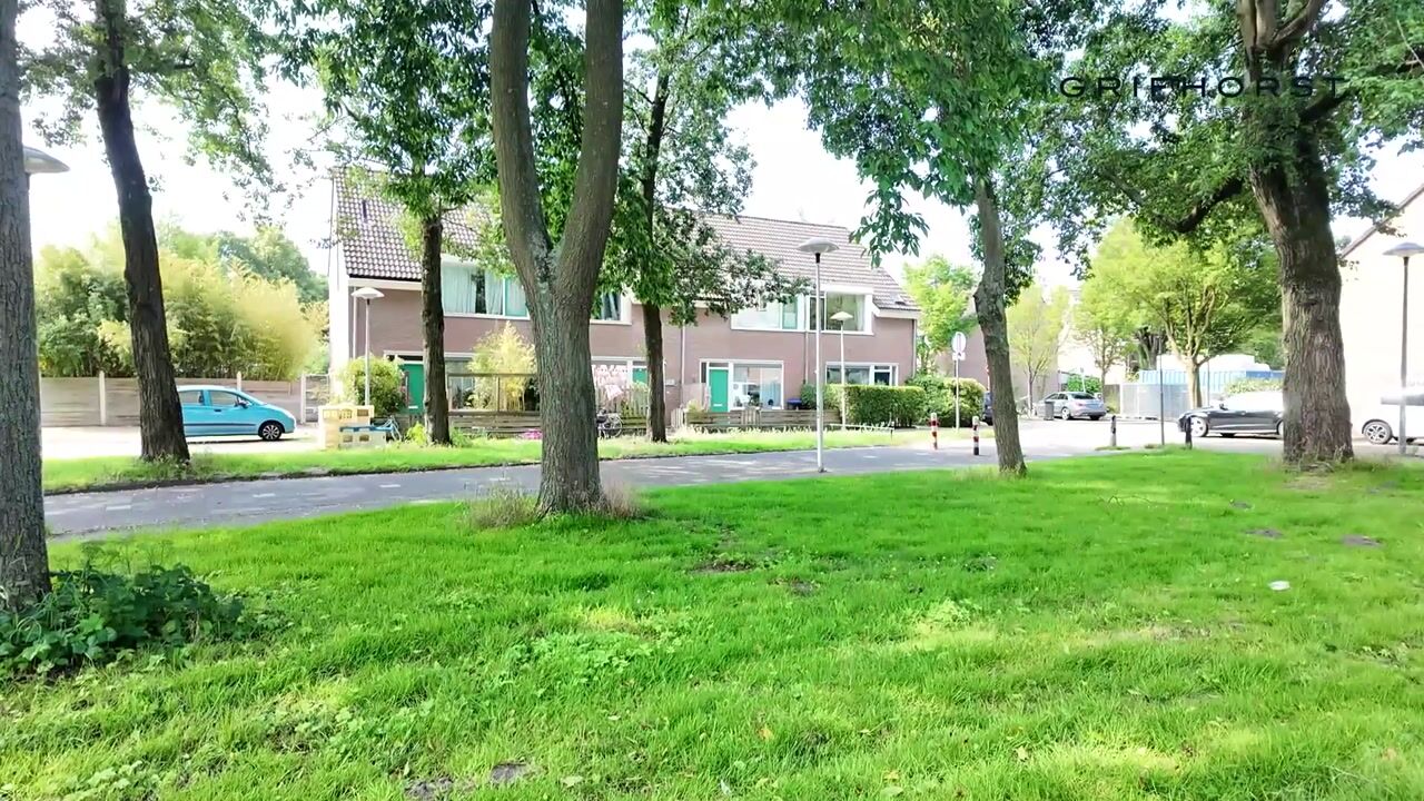 Video van Zenithstraat 17