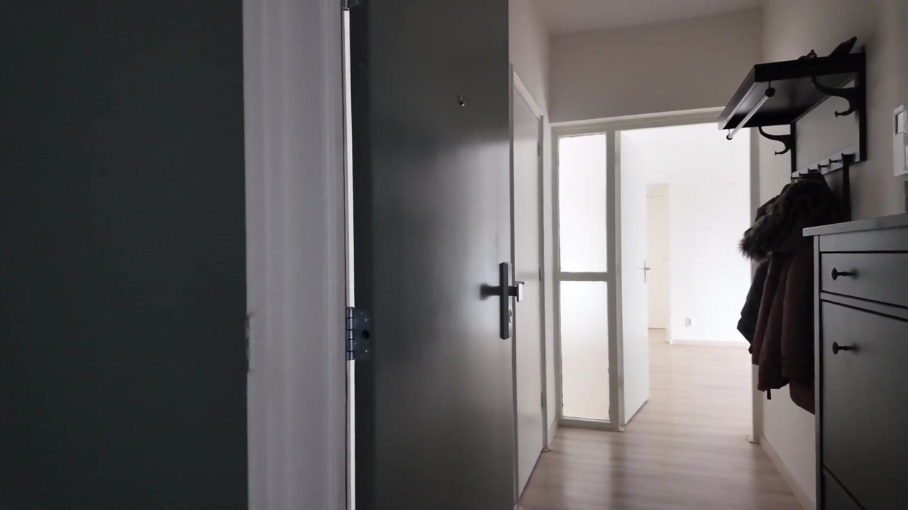 Video van Monnetlaan 110