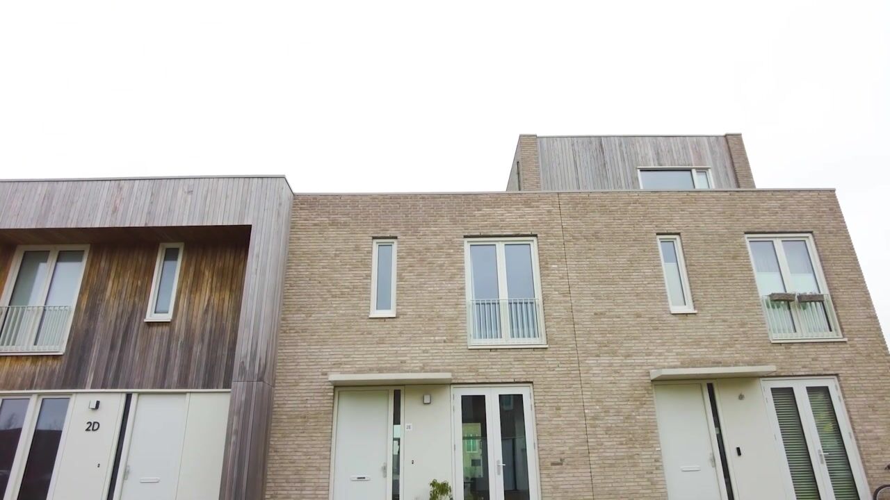 Video van Grasbloem 2-E