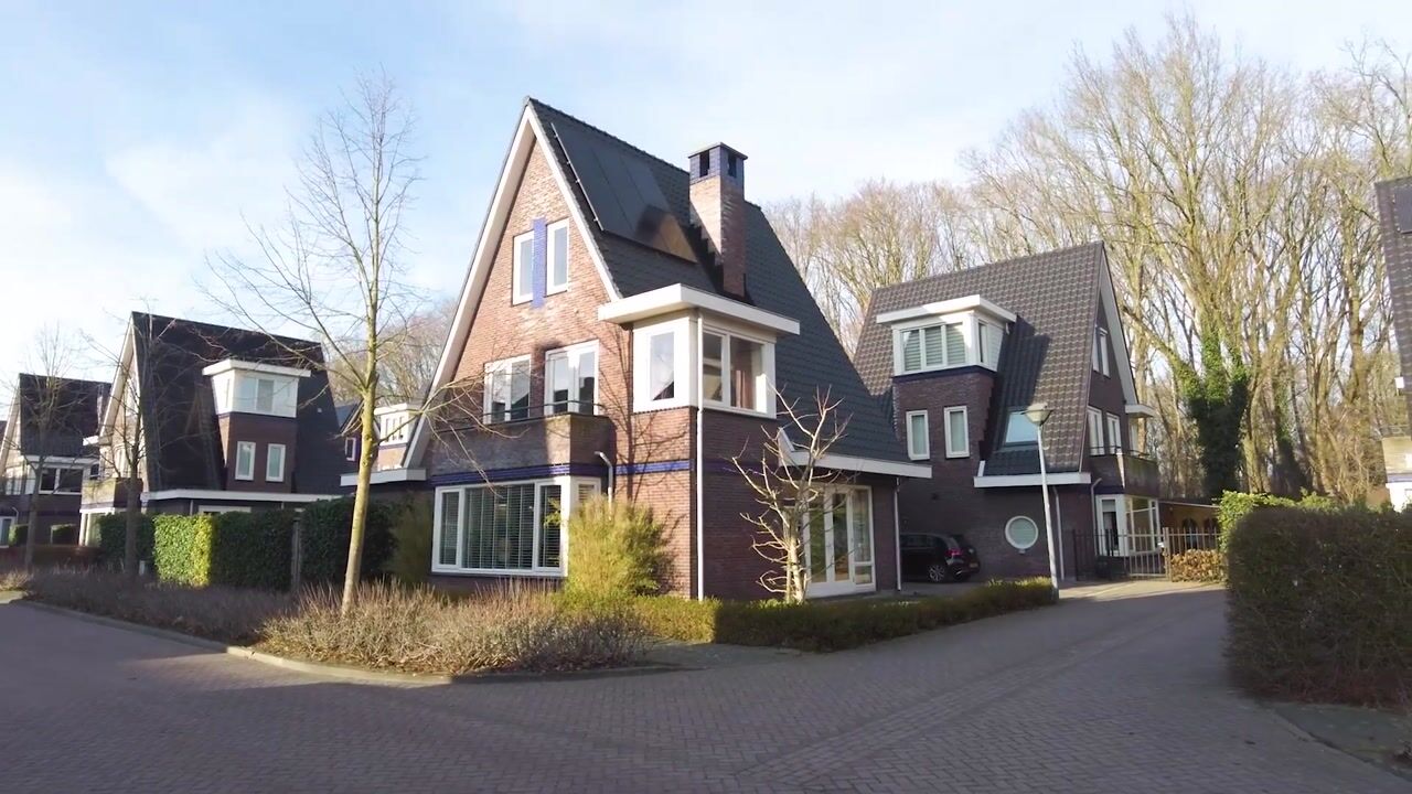 Video van Dagpauwoog 8