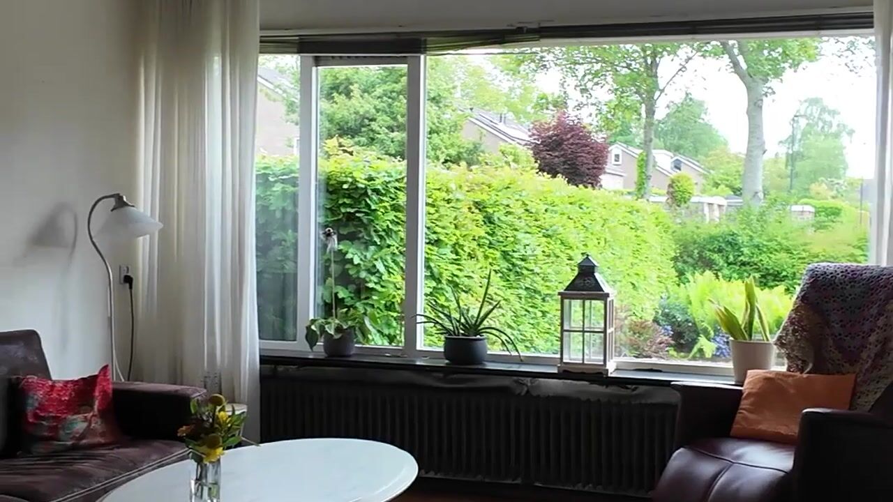 Video van Eems 29