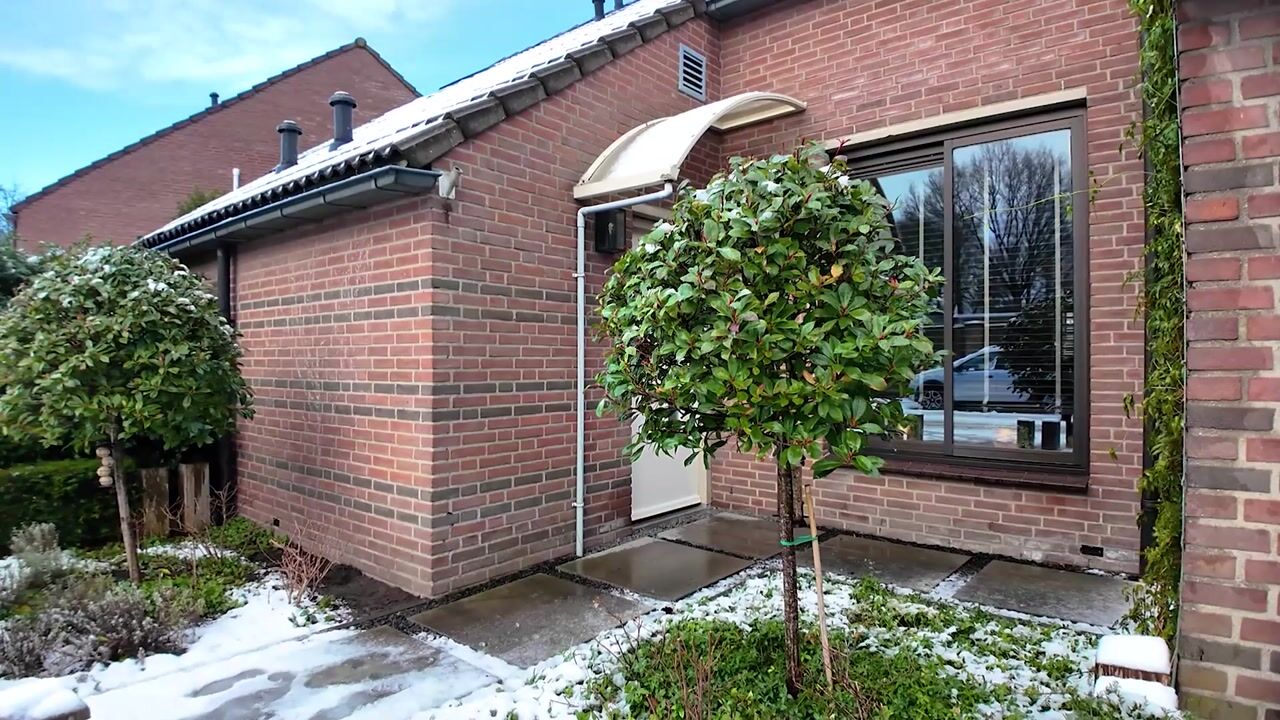 Video van Smallevaert 33