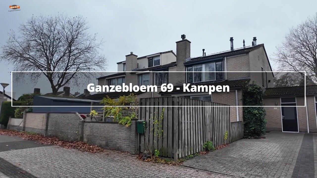 Video of Ganzebloem 69