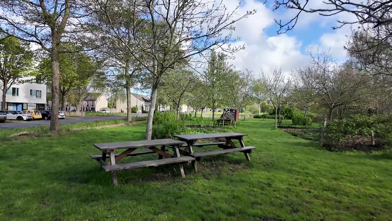 Video van H.S. Trumanstraat 2