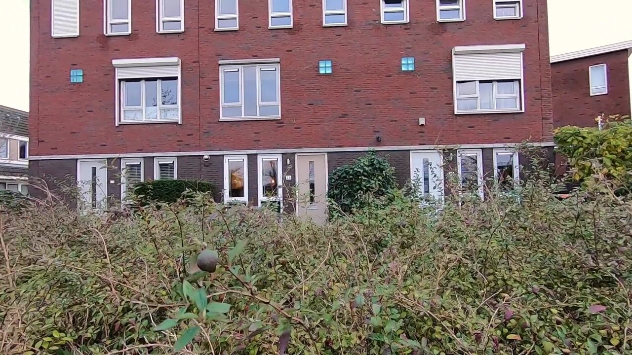 Video van Mangaan 26