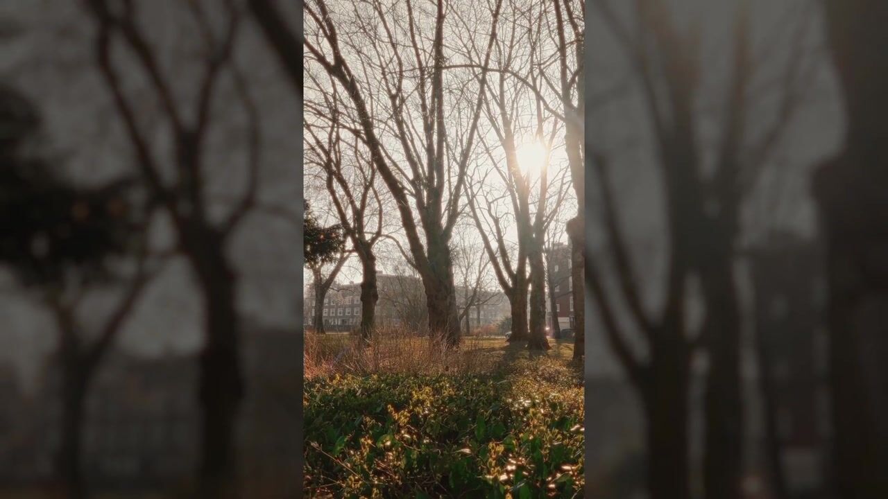 Video van Tak van Poortvlietstraat 39-B01