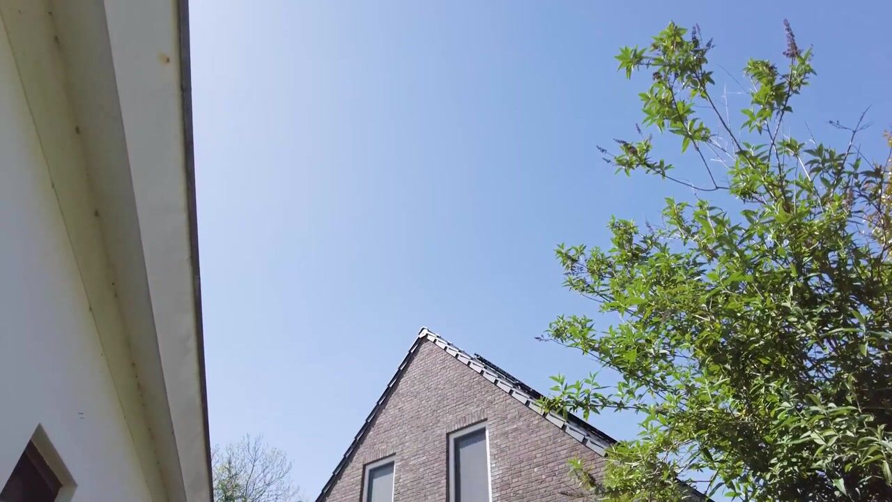 Video of De Zandput 20