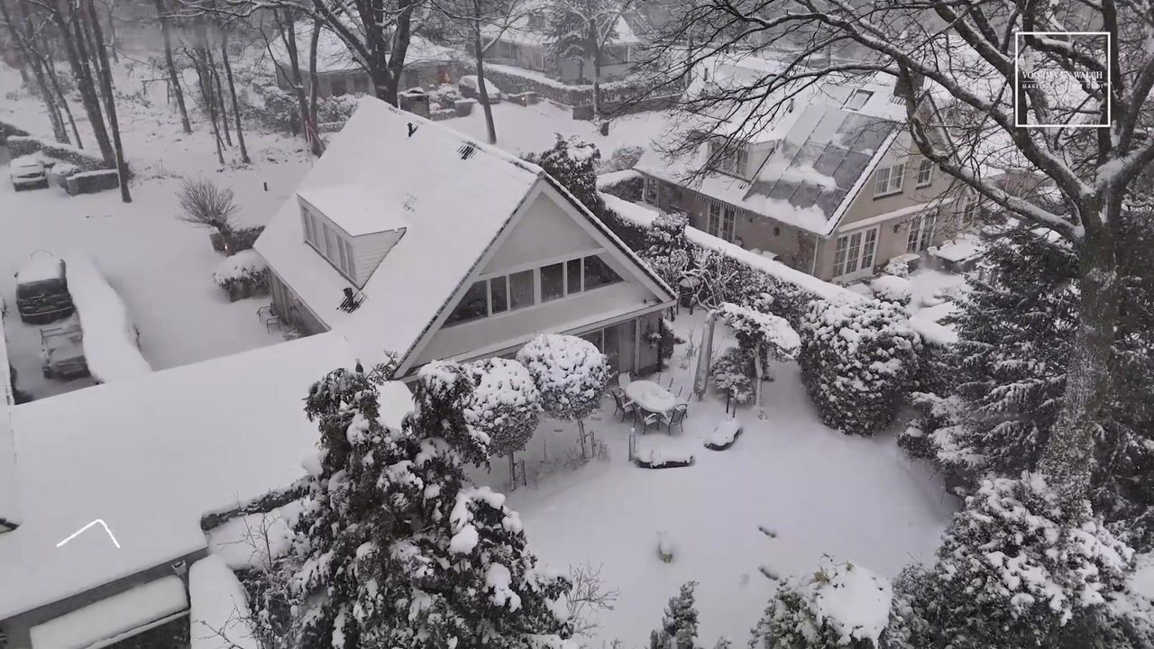 Video van Van Driellaan 7