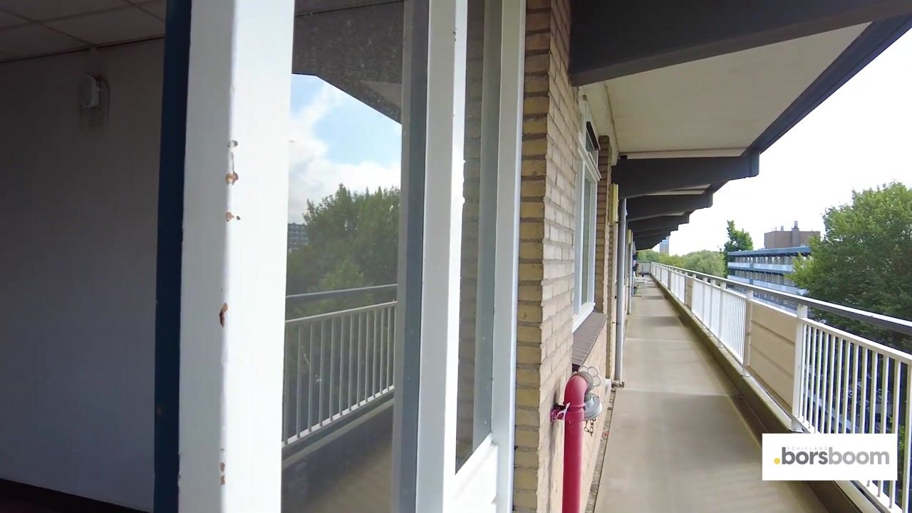 Video van Dunantstraat 738