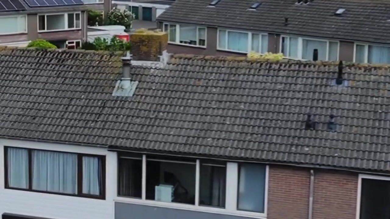 Video van Rozenstraat 19