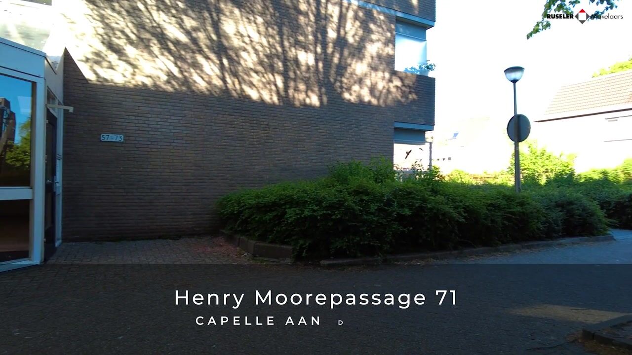 Video van Henry Moorepassage 71