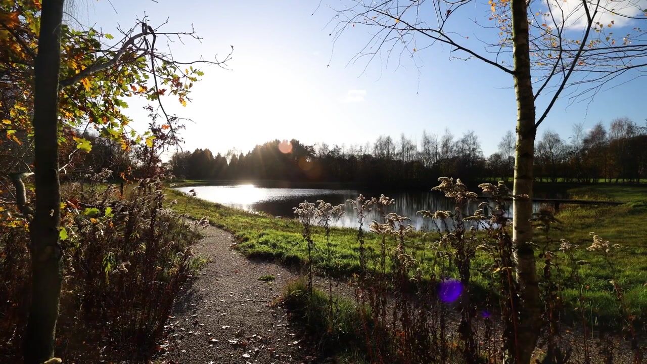 Video van Burloseweg 44