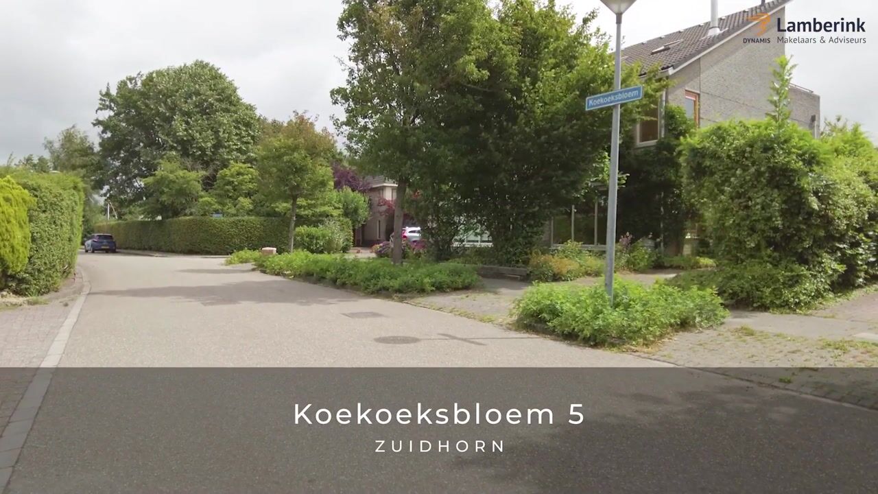 Video van Koekoeksbloem 5