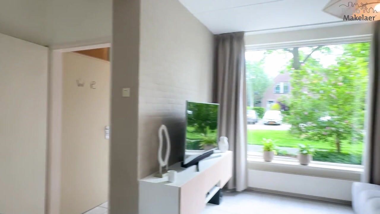 Video van Goudplevier 17
