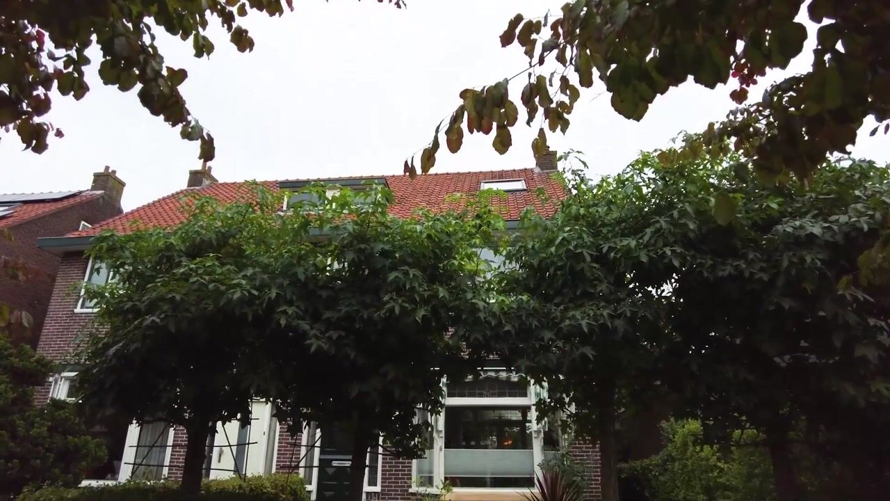 Video van Molkade 2
